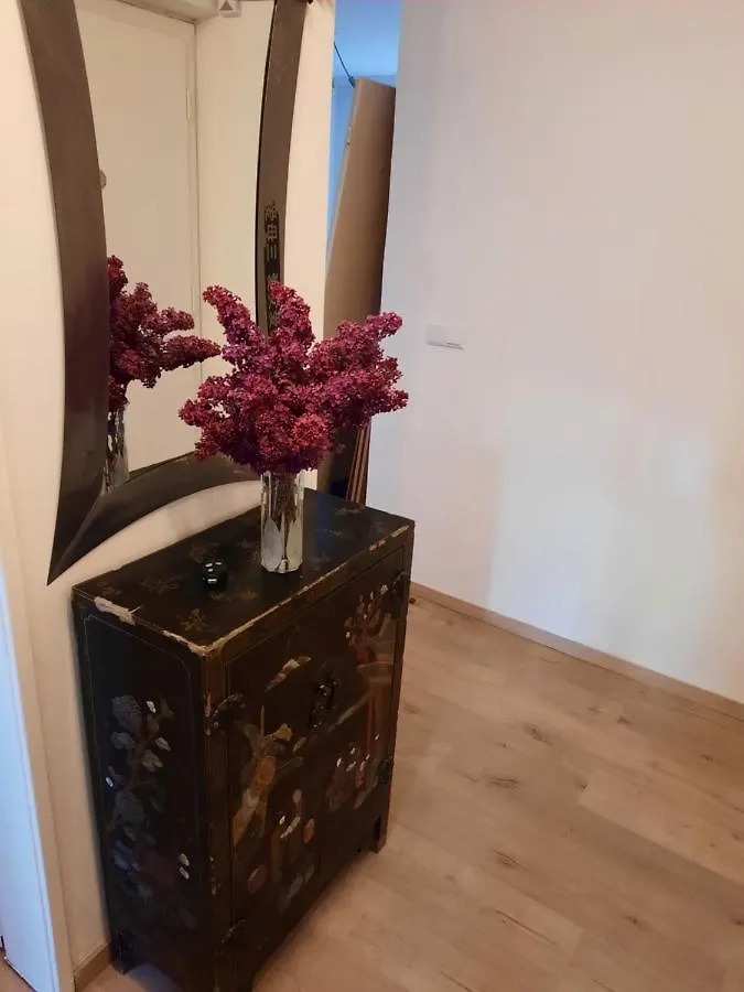 Schoene Wohnung In Der Grazer Innenstadt location